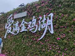 -金鸡湖景区