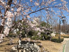 -水西公园