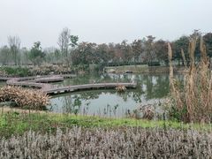 -桤木河湿地公园