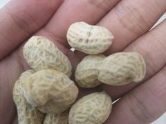 -大唐靓汤江门私房菜(景田店)