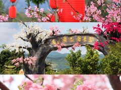 -广州市石门国家森林公园