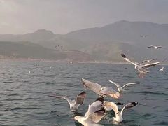 -丽江泸沽湖景区