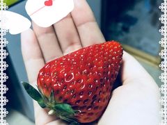 -乡间好味私家菜(总店)