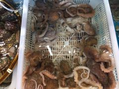 -港畔赶海蒸汽海鲜烧烤自助(仙螺岛店)