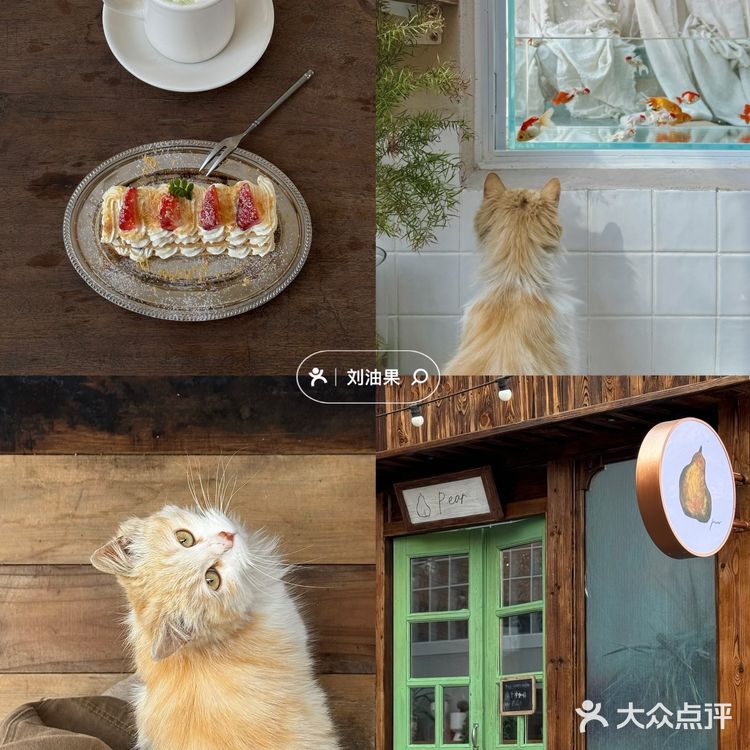 北京京郊新店！！🐈可爱猫猫日式氛围小店🍐

