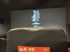 -新影联·华谊兄弟影院(望京店)