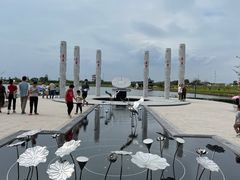 -杭州湾海上花田景区