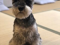 -仰生如卉推拿养生馆(酒仙桥店)