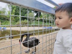 -长廊欢乐园
