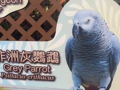 -九龙公园