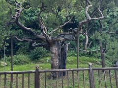 -草庵摩尼教遗址公园