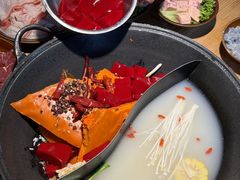 -阳阳老火锅(小南门店)