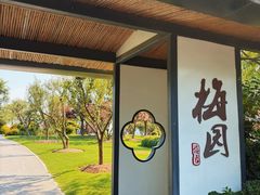 -上海长兴岛郊野公园