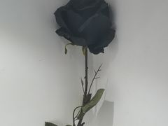 -深圳失恋博物馆再见前任(汇商名苑店)