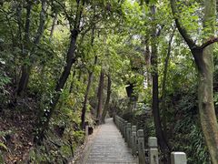 -十八棵（老龙井）御茶园(老龙井店)