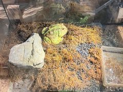 -绿色星球动物主题公园
