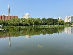 -泰丰公园