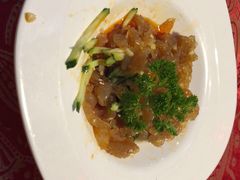 -云中小雅