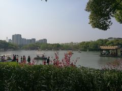 -圩墩遗址公园