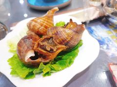 潮汕响螺-金龙·打边炉(武进路店)