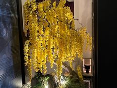 -金链花·泰国餐厅(国贸店)