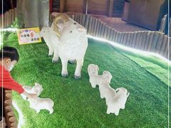 -老阿妈蒙古村·蒙古包·草原文化·歌舞表演(老君堂店)