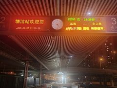 -塘沽站
