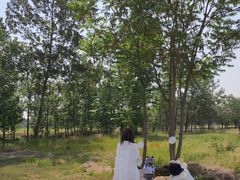 -汉长安城未央宫国家考古遗址公园