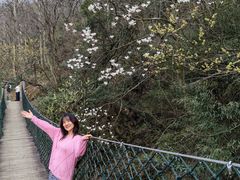 -莫干山风景区