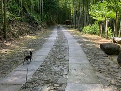 -黄公望隐居地