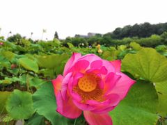 -贵阳市花溪国家城市湿地公园