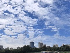-莲花池公园