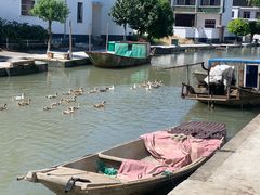 -乡乐园蟹庄·阳澄湖农家乐