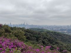 -广州市白云山风景名胜区