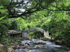 -广州市石门国家森林公园