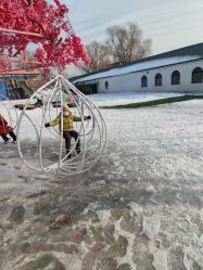 -优沃得自然教育农场·冰雪乐园·生日会·研学