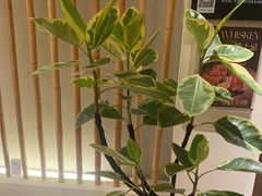 -小茶闲舍·观景商务茶馆(广州塔店)