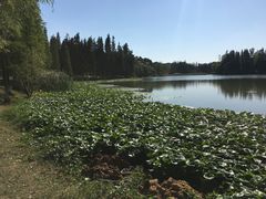 -艾溪湖湿地公园