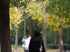 -中山公园