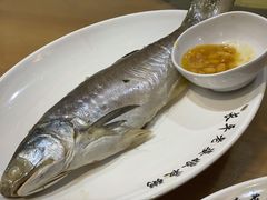 -长平老姿娘夜粥(平东一街店)