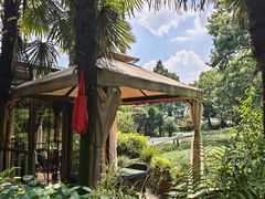 -野蔓果·山野菜(西湖景区·龙井茶田店)