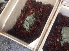 -马王堆海鲜水产市场