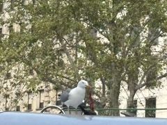 -加泰罗尼亚广场