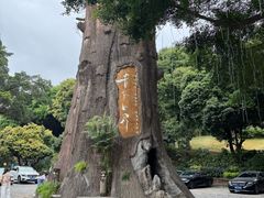 -青青世界