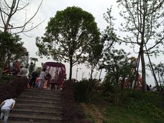 -枫香湖儿童公园