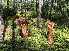 -莫尔道嘎国家森林公园