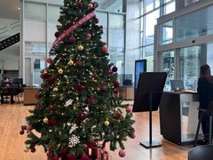 -奔驰上海利星(七宝店)