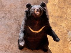 -石家庄市动物园