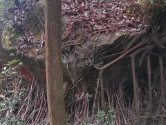 -逍遥谷景区