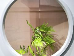 -长沙简牍博物馆